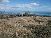 iara Scorciavacca-20110306 034